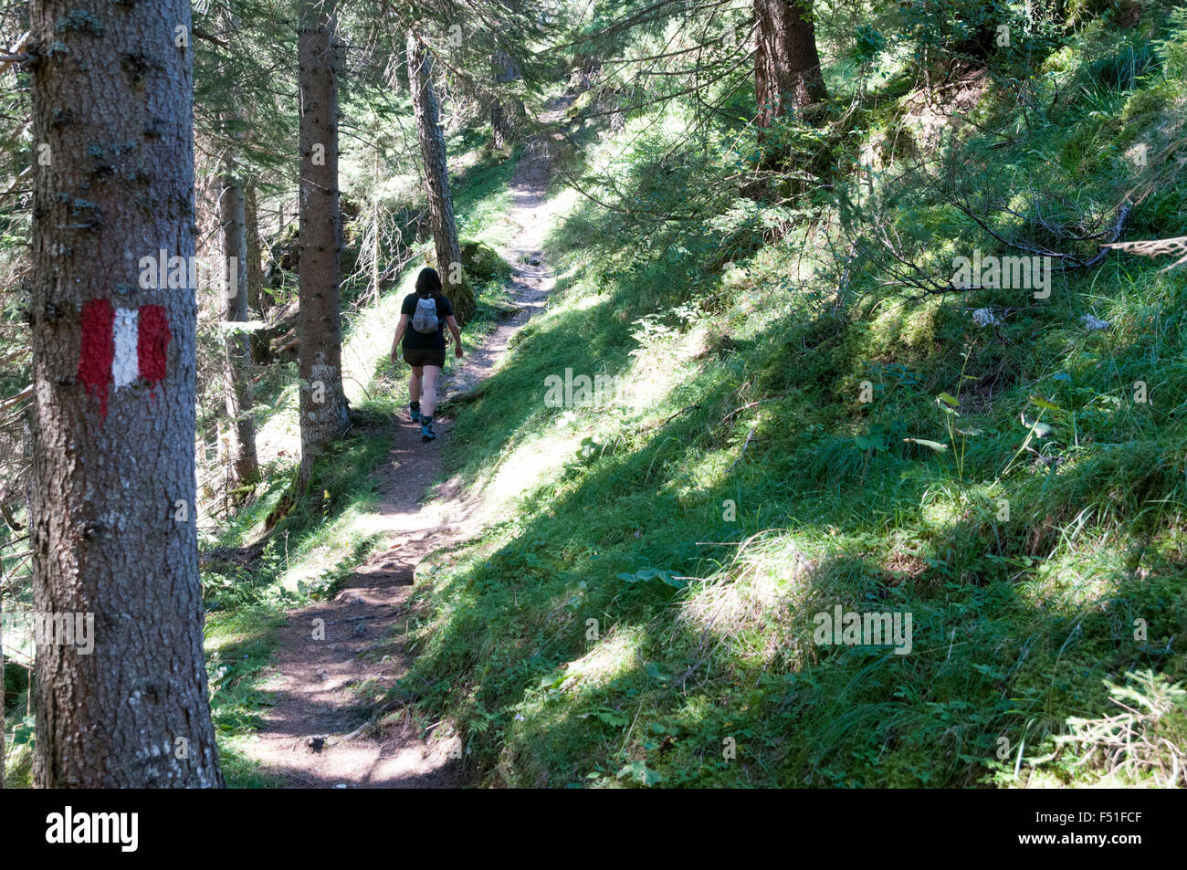 Weibliche Wanderer Wanderungen im Wald. Fotografiert in Tirol, Österreich Stockfoto