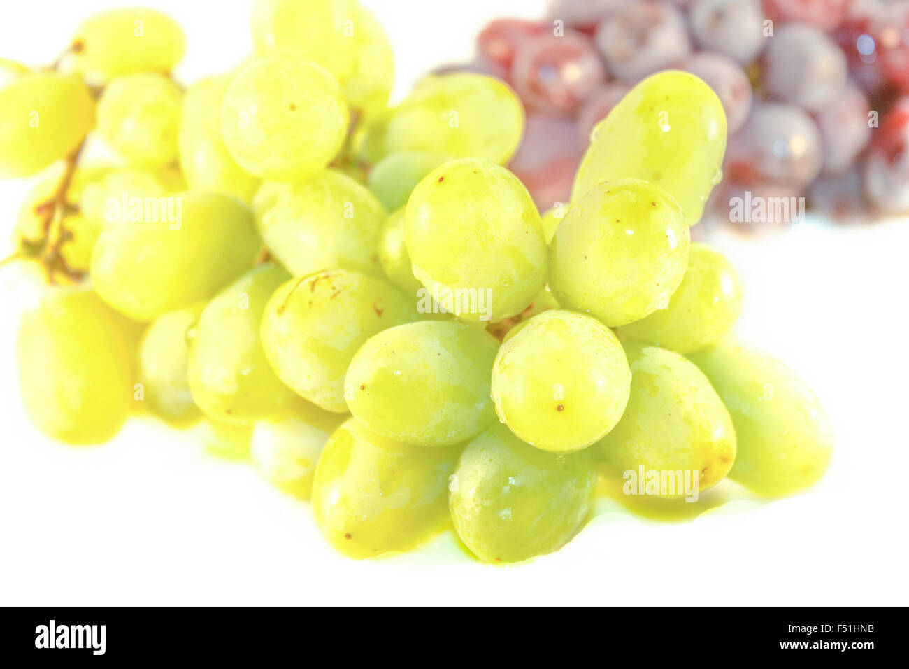 Ein Haufen grüne Trauben vor lila Trauben Stockfoto