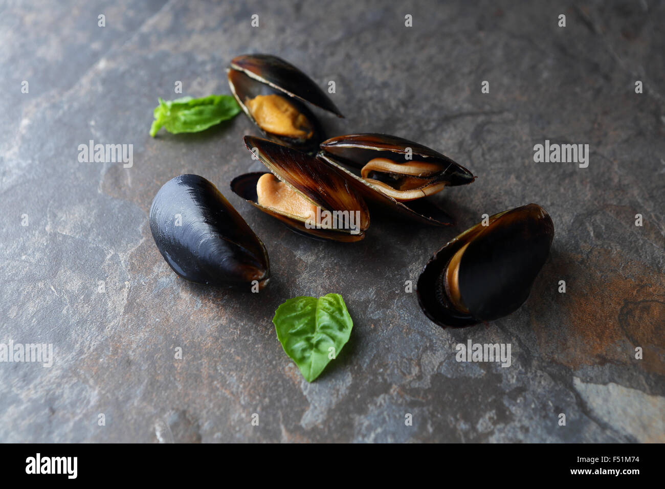 Rohe schwarze Muscheln, Lebensmittelzutaten Stockfoto