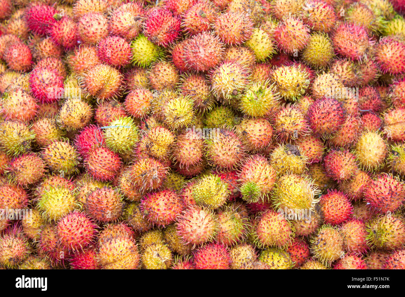 Viel frische Rambutan Früchte, Nephelium Lappaceum, auf einem Markt in Phu Quoc, Vietnam Stockfoto