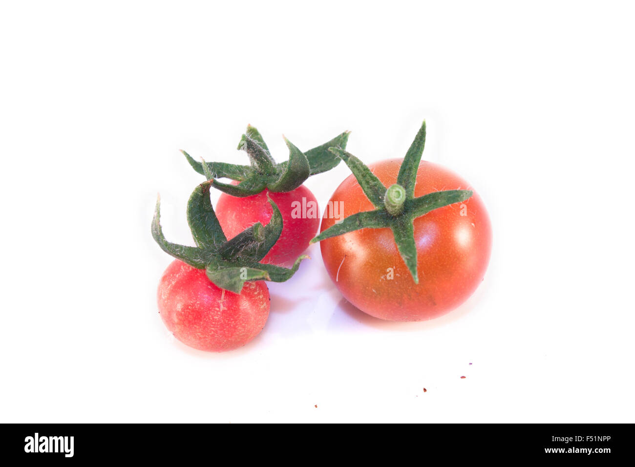 Cherry-Tomaten, Solanum Lycopersicum, isoliert auf weißem Hintergrund Stockfoto