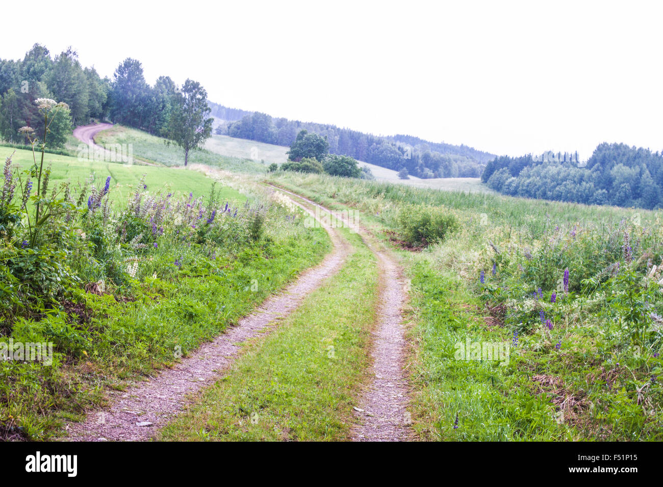 Eine Straße auf einem Feld in Uusimaa, Finnland Stockfoto