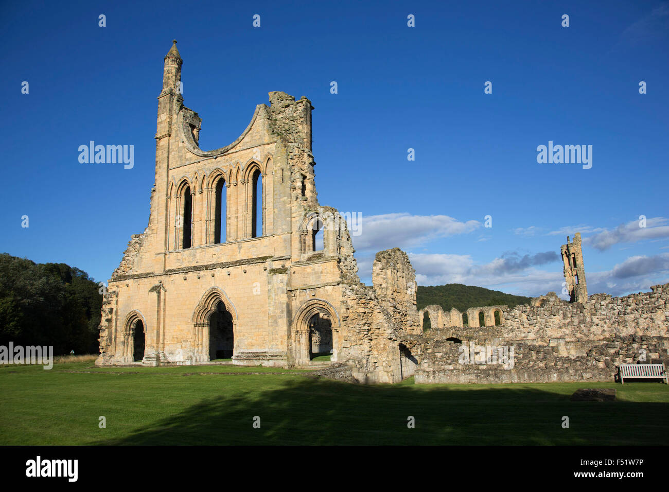Byland Abbey, North Yorkshire, England, UK. Byland Abbey ist ein zerstörten Abtei und ein kleines Dorf in der Ryedale Bezirk North Yorkshire, England, in den North York Moors National Park. Beeindruckende Überreste können noch gesehen werden, in der Obhut von English Heritage, einschließlich der unteren Hälfte eine riesige Rosette. Es war wie eine Savigniac Abtei im Januar 1135 gegründet und wurde 1147 von den Zisterzienserorden aufgenommen. Einen leichten Einstieg für die Gemeinschaft, die fünfmal zu bewegen, bevor er sich auf neue Byland, in der Nähe von Coxwold in 1177 hatten war es nicht. Stockfoto