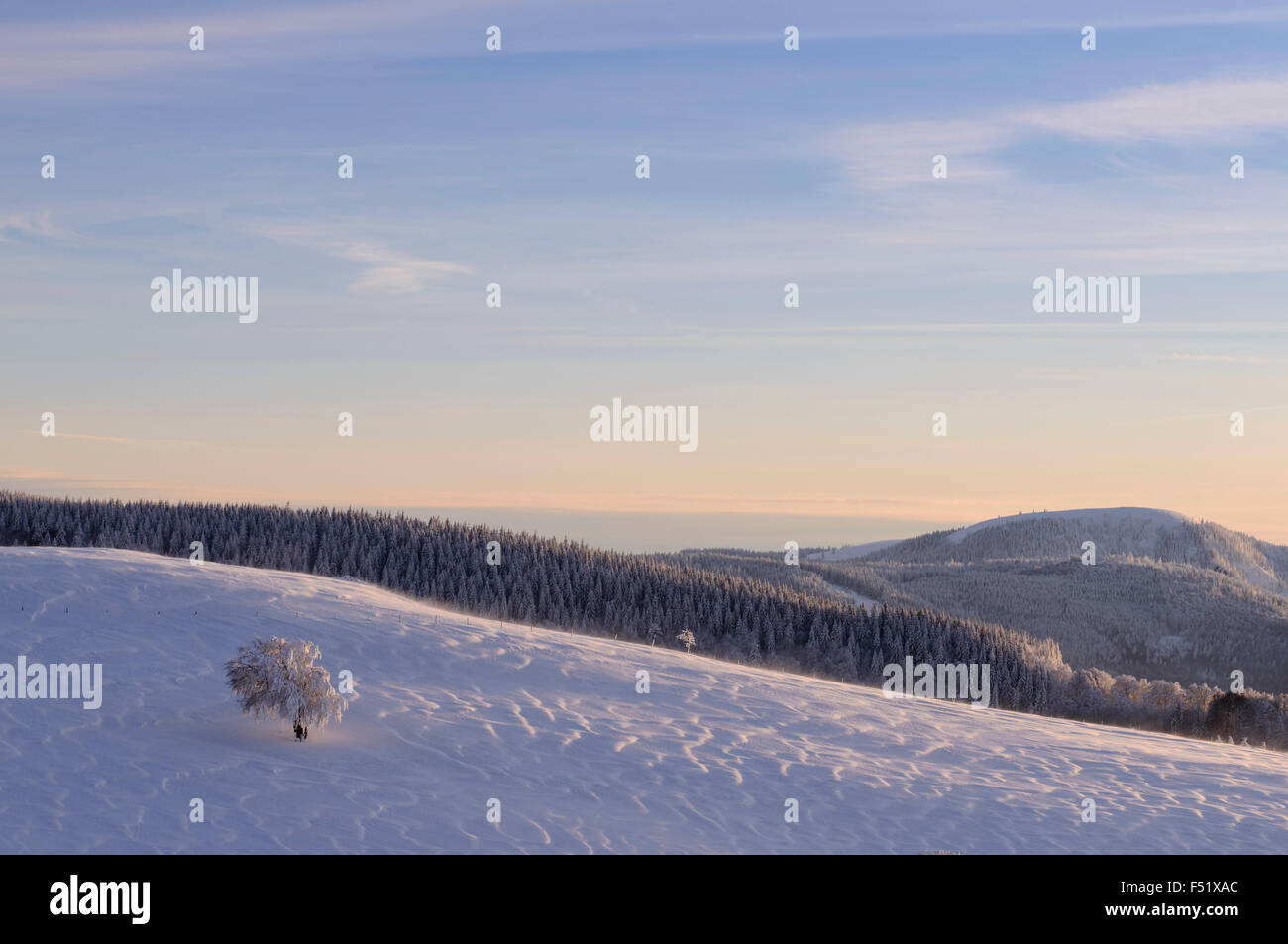 Deutschland, Baden-Württemberg, Schwarzwald, Blick vom "Schauinsland" (Berg) im winter Stockfoto