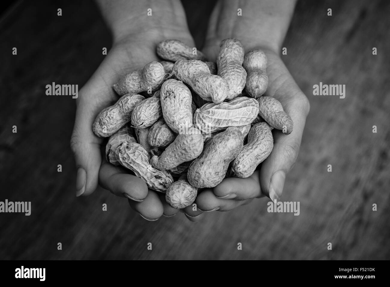 Hände halten Monkey Nuts, schwarz & weiß Stockfoto
