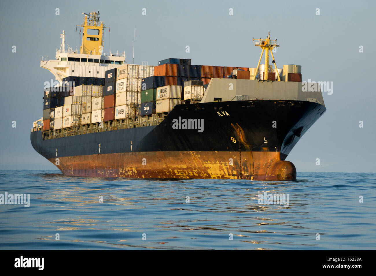 Containerschiff verankert in der Nähe von Hafen Santos, São Paulo Zustand Ufer, Brasilien Stockfoto