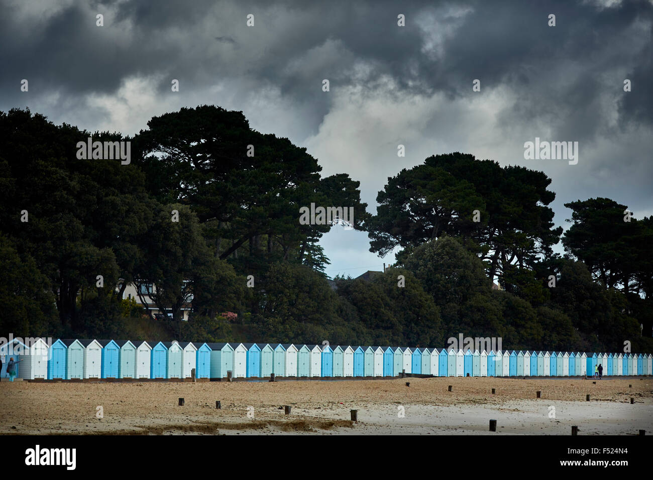 Mudeford in Dorset Avon Strand Strand Hütten viele viele Landschaft Bäumen Südküste Großbritannien Großbritannien britische Großbritannien Europa Stockfoto