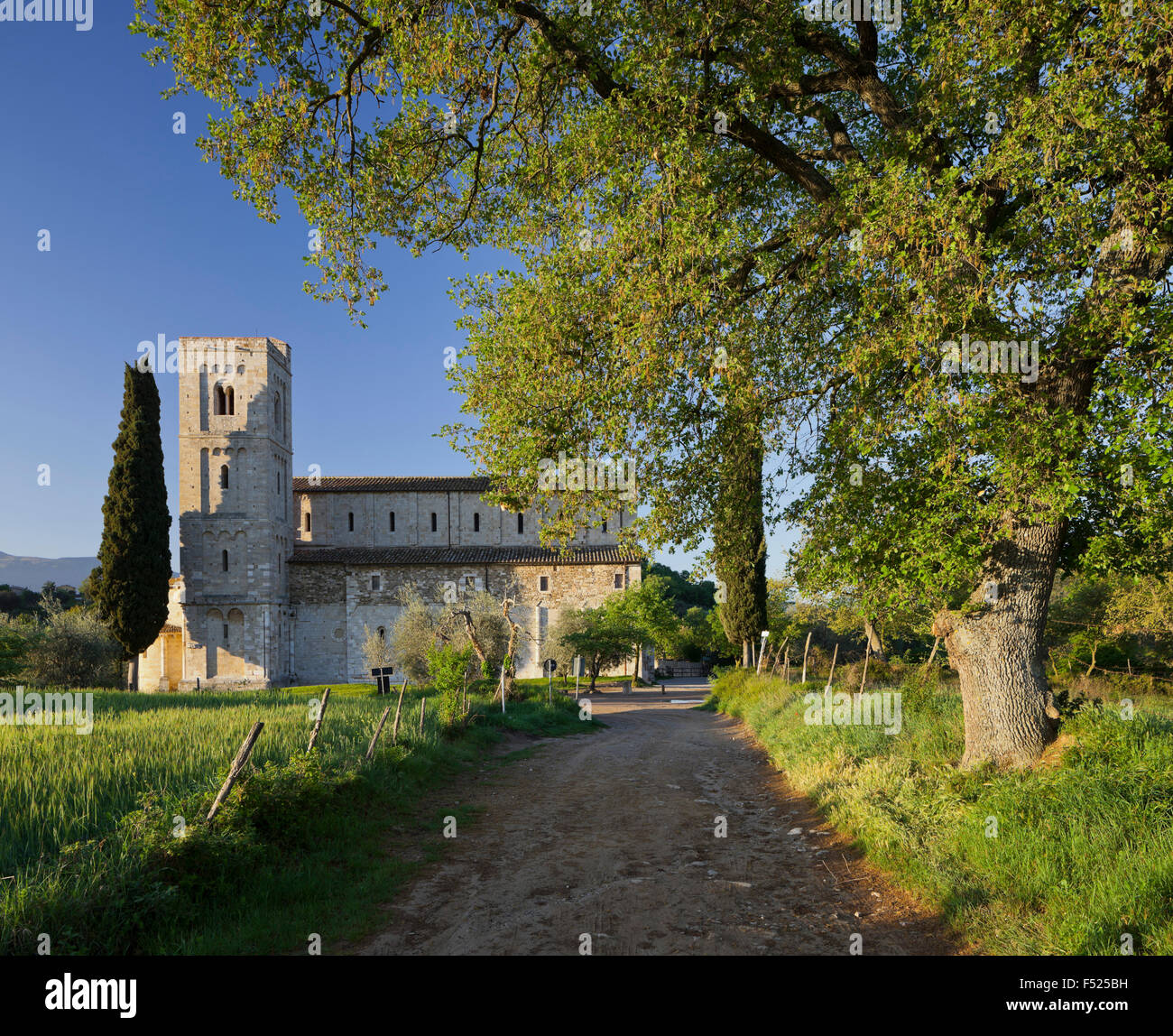 Antimo Abtei, Castelnuovo dell'abate, Toskana, Italien Stockfoto