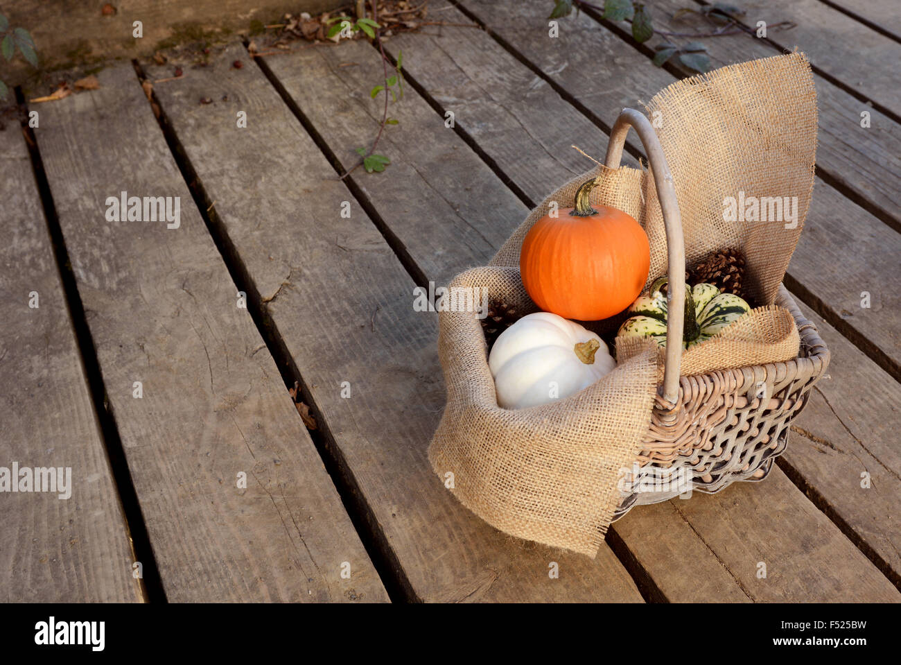 Kleine Kürbisse in einem hessischen gesäumte Korb draußen auf einem Holzsteg Stockfoto