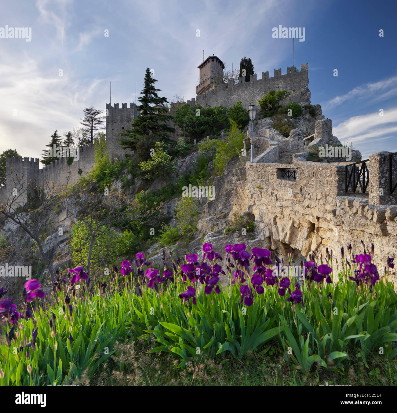 Iris vor der Festung Guaita, Monte Titano, Republik San Marino, Stockfoto