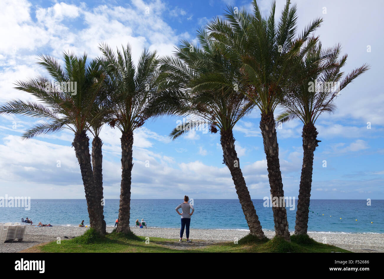 Palmen am Strand von La Herradura an der Costa Tropical in Granada Provence Spanien Stockfoto