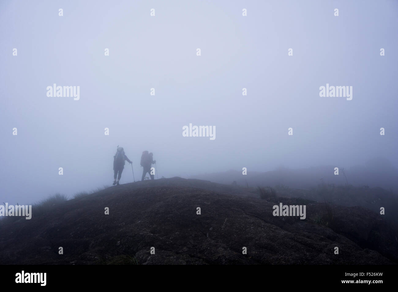 Wanderer auf Spuren im Nebel Berg, Minas Gerais, Serra da Matiqueira, Marins Itaguaré Berg Stockfoto