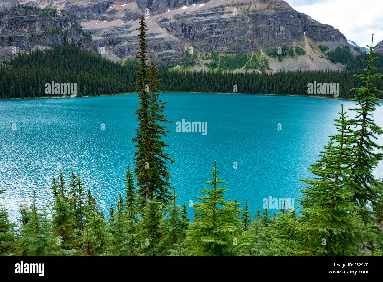 Mit Blick auf malerische Lake O'hara im Yoho-Nationalpark, Kanada Stockfoto