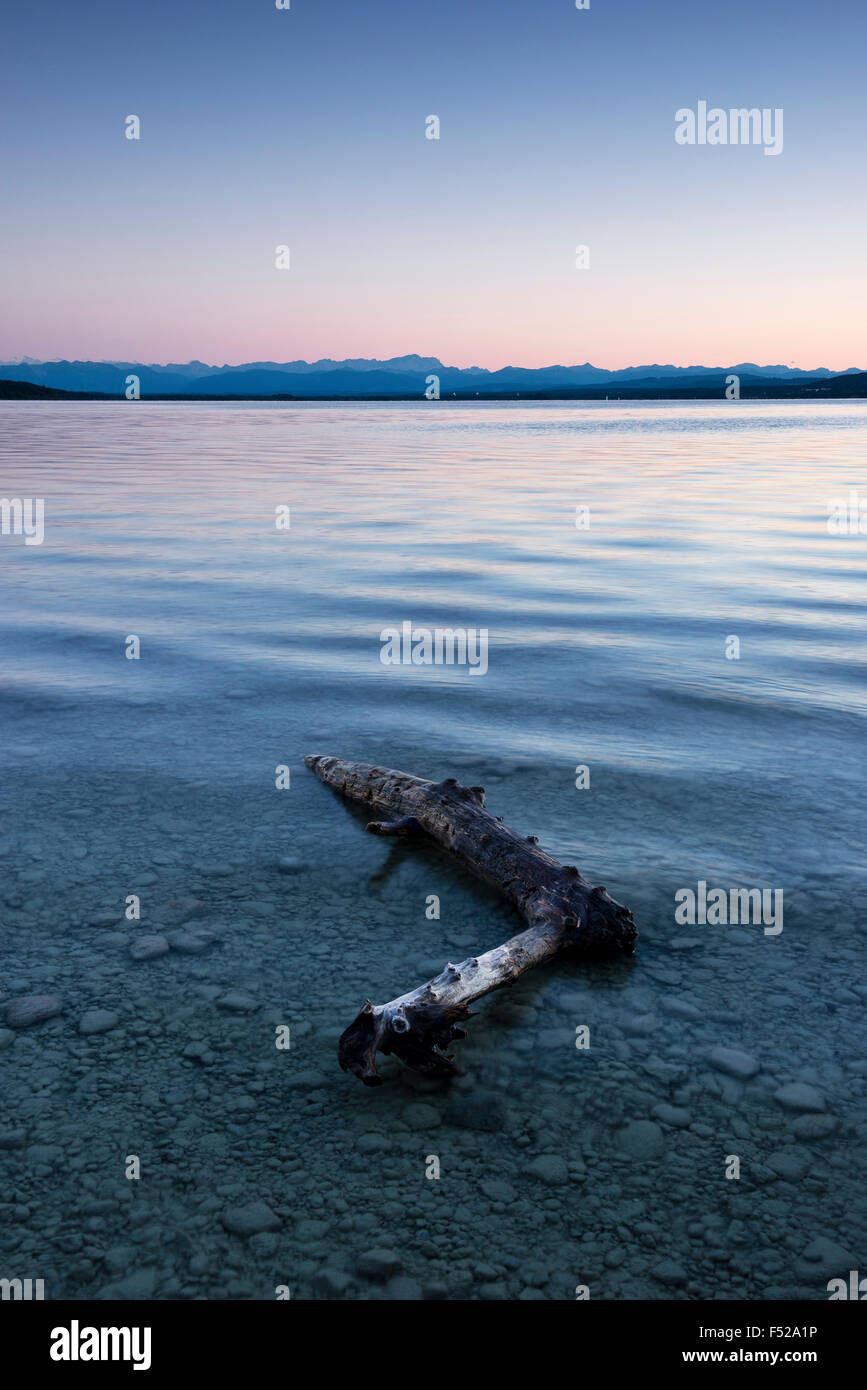 Ammersee "(See), Stimmung, Wasser, Berge, Alpen, Zweig, Treibholz, Wellen, Bewegung, blau, Abend, Stockfoto