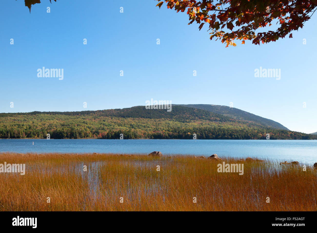 Eagle Lake in den Herbst, Acadia-Nationalpark, Mount Desert Island, Maine USA Stockfoto