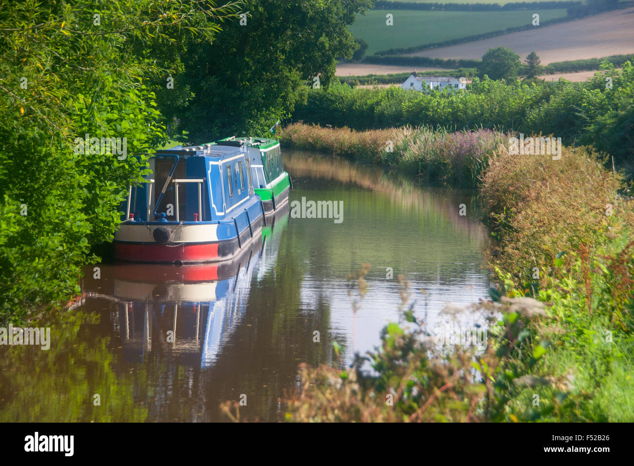 Monmouthshire & Brecon Canal Mo & Brec Narrowboats vertäut am Pencelli Powys Wales UK Stockfoto