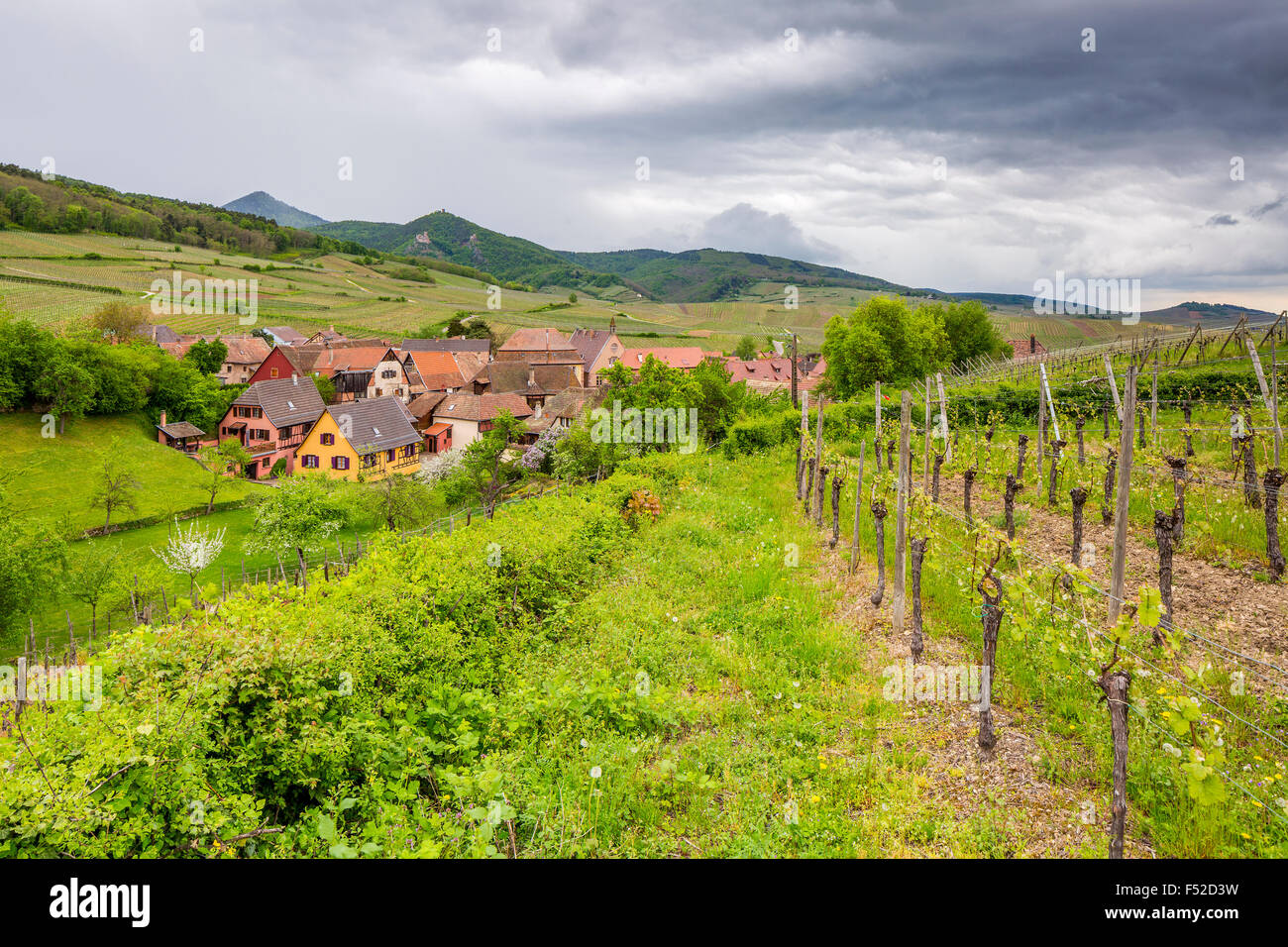 Hunawihr, Haut-Rhin, Elsass, Frankreich, Europa Stockfoto