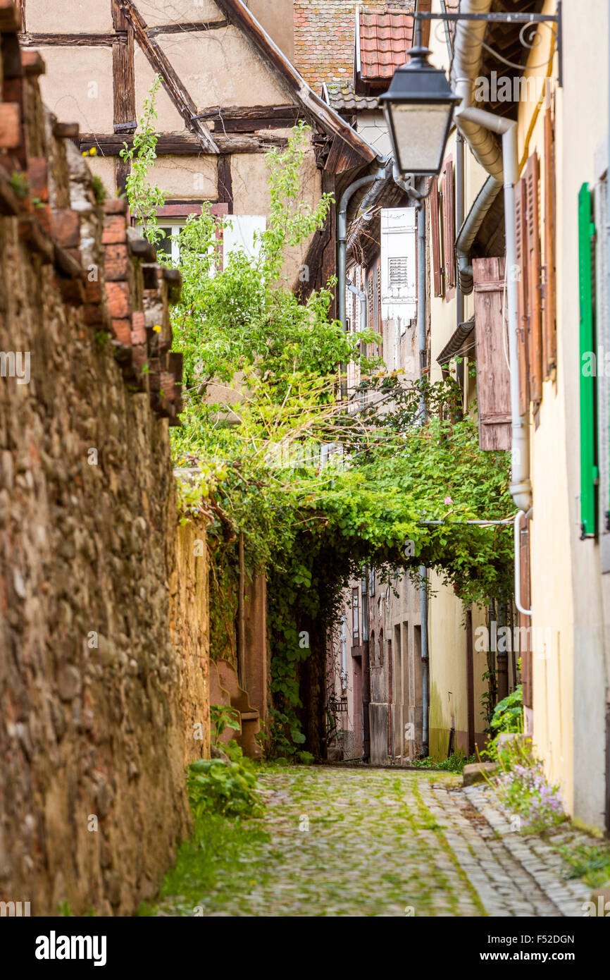 Village of kaysersberg (alsace) Fotos und Bildmaterial in hoher