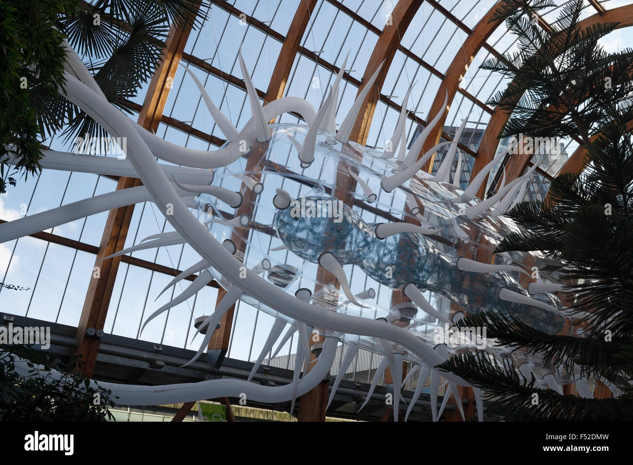 Ein aufblasbares Modell eines E coli-Bakteriums, das im Sheffield Winter Garden in England, Großbritannien, ausgestellt wird Stockfoto