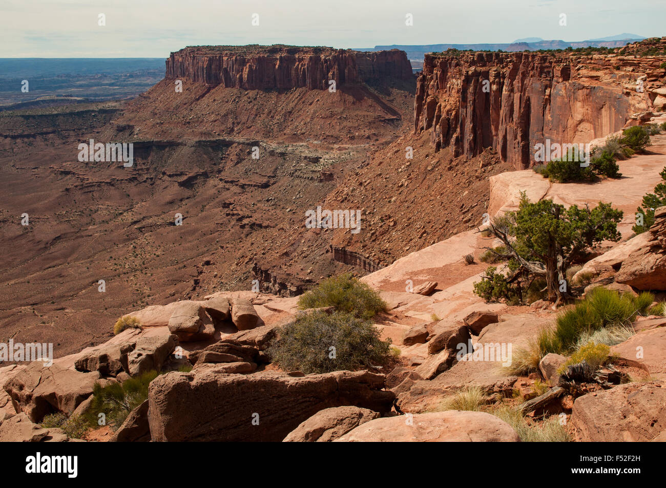 Grand View Point Overlook, Canyonlands NP, Utah, USA Stockfoto