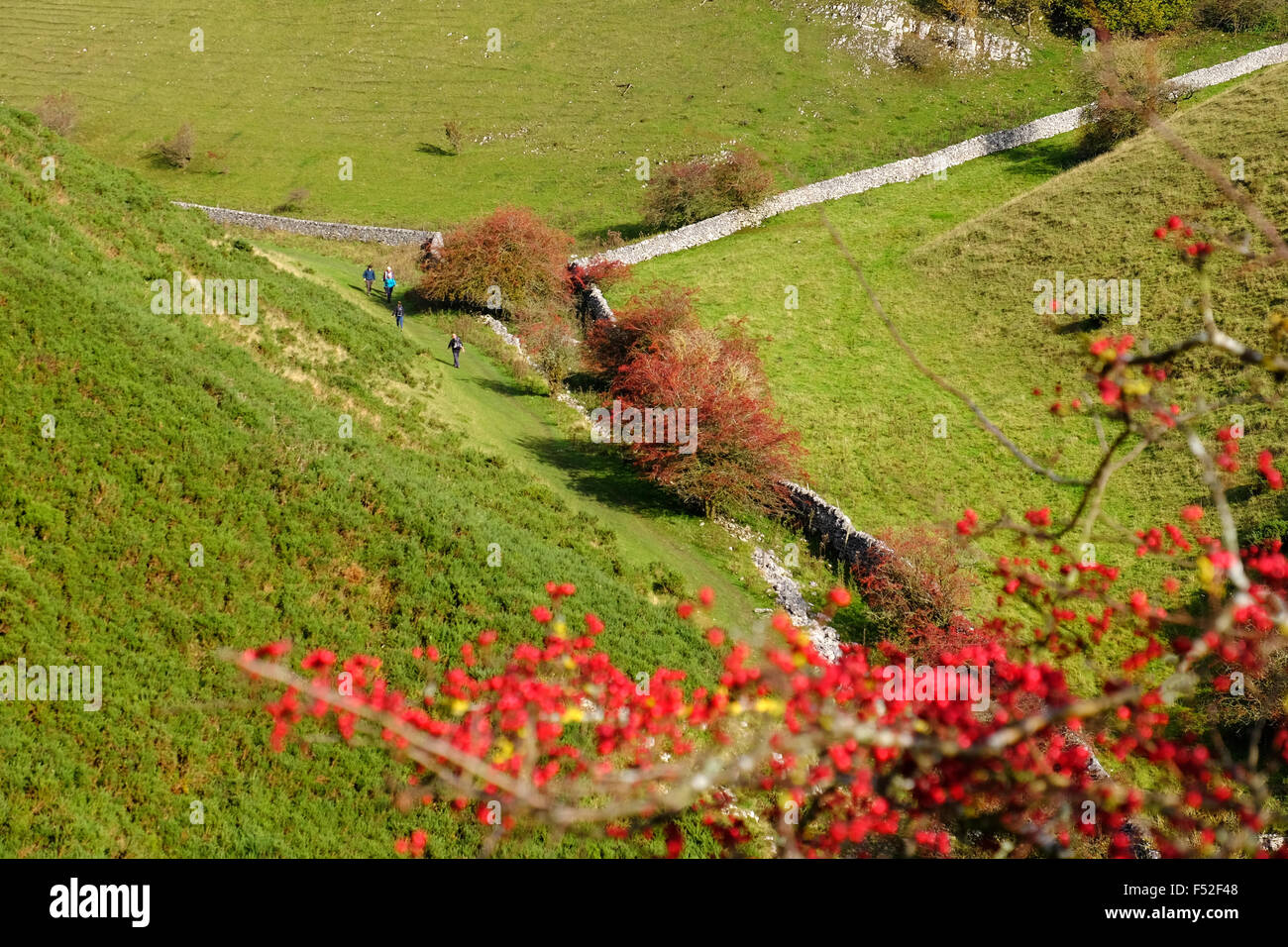 Wanderer in Biggin Dale in der Nähe von Hartington in den Peak District, Großbritannien Stockfoto