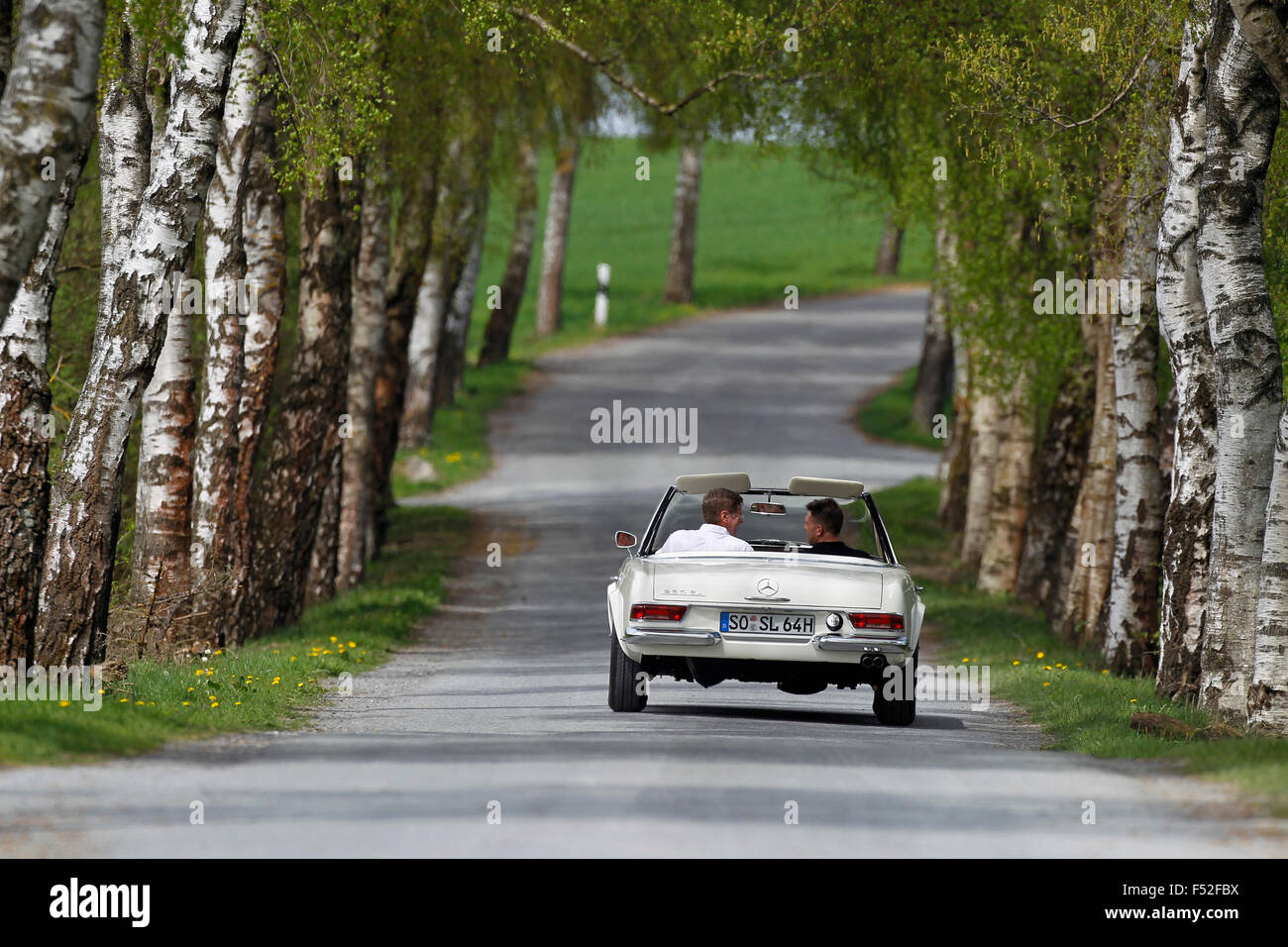 Auto, Mercedes Pagoda, Baujahr unbekannt, weiß, Vintage Bauwagen, Rückansicht, Umzug, Avenue, Stockfoto