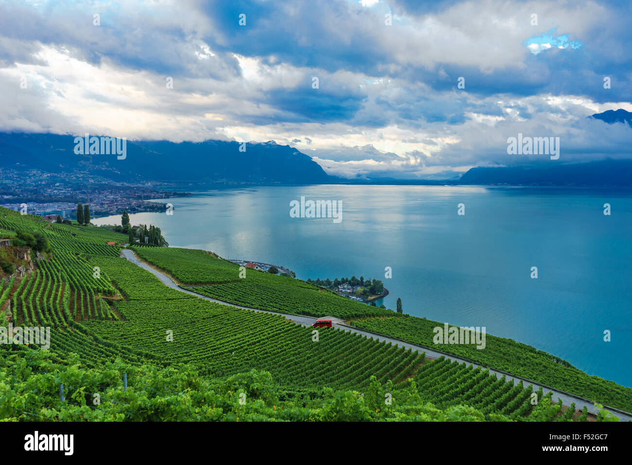 Die weitläufigen Weinbergen im Lavaux, einem UNESCO-Weltkulturerbe. Genfer See, Schweiz. Stockfoto