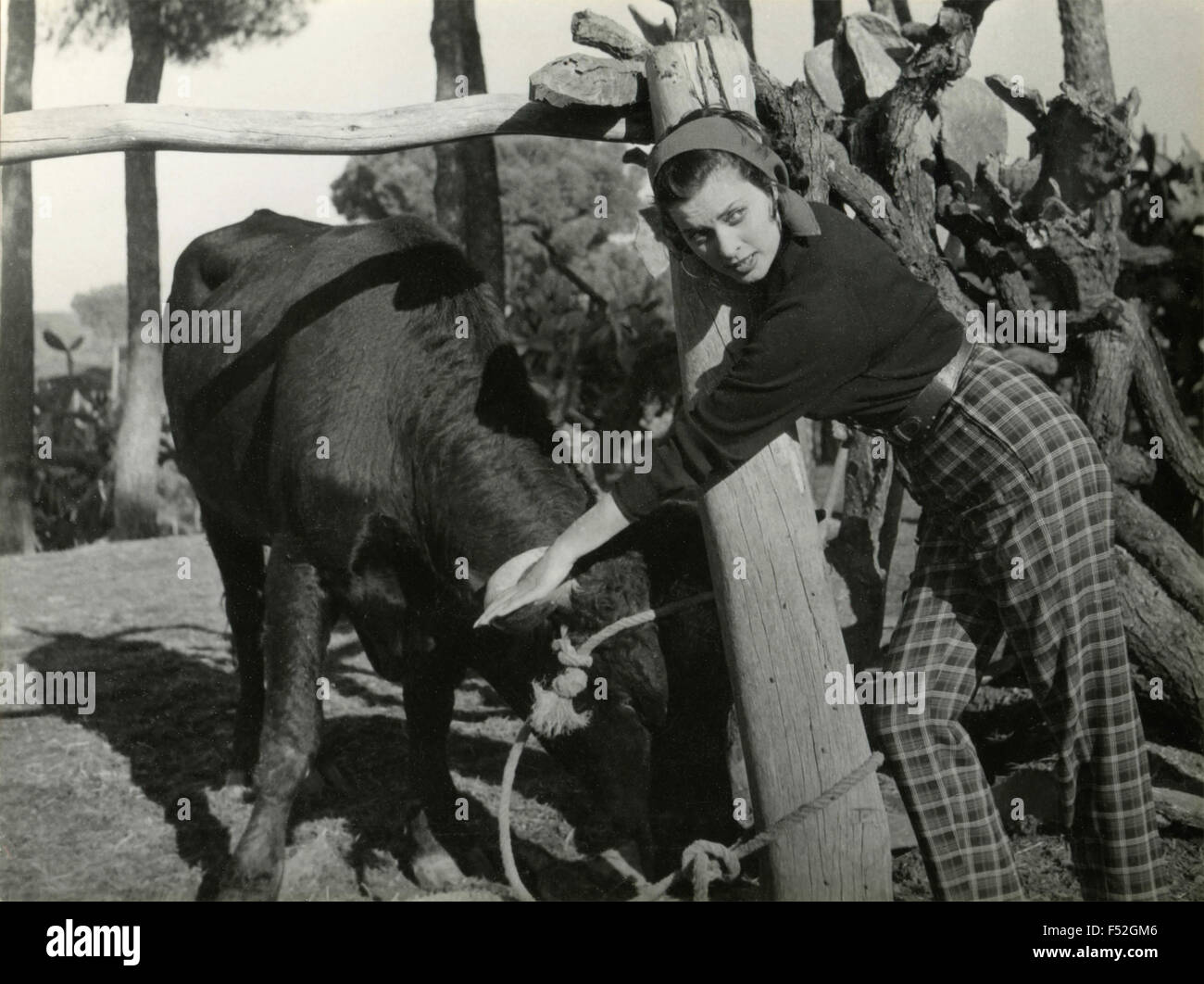 Die italienische Schauspielerin Lucia Banti mit einem Stier während einer Pause in die Dreharbeiten zu des Films "Fiesta Brava" Stockfoto