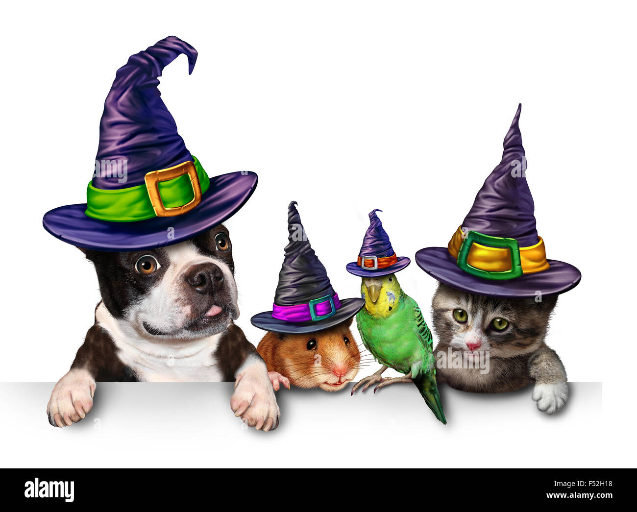 Halloween-Pet leere Zeichen mit einem lustigen Katze glücklicher Hund süße Hamster und Wellensittich jeweils eine Hexe Hut Kopf tragen als Herbst Saison Symbol für lustige Haustiere in Kostüm Kleid. Stockfoto