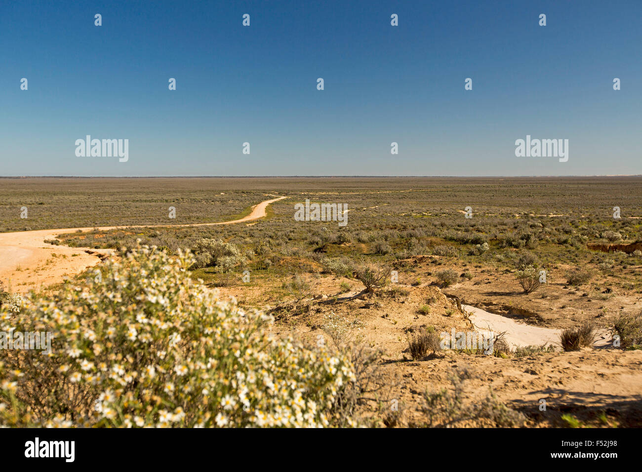 Gewundenen Straße schlängelt sich über trockene Lake Mungo mit Teppich aus olivgrün niedrige Vegetation zum fernen Horizont unter blauem Himmel im Outback Australien Stockfoto