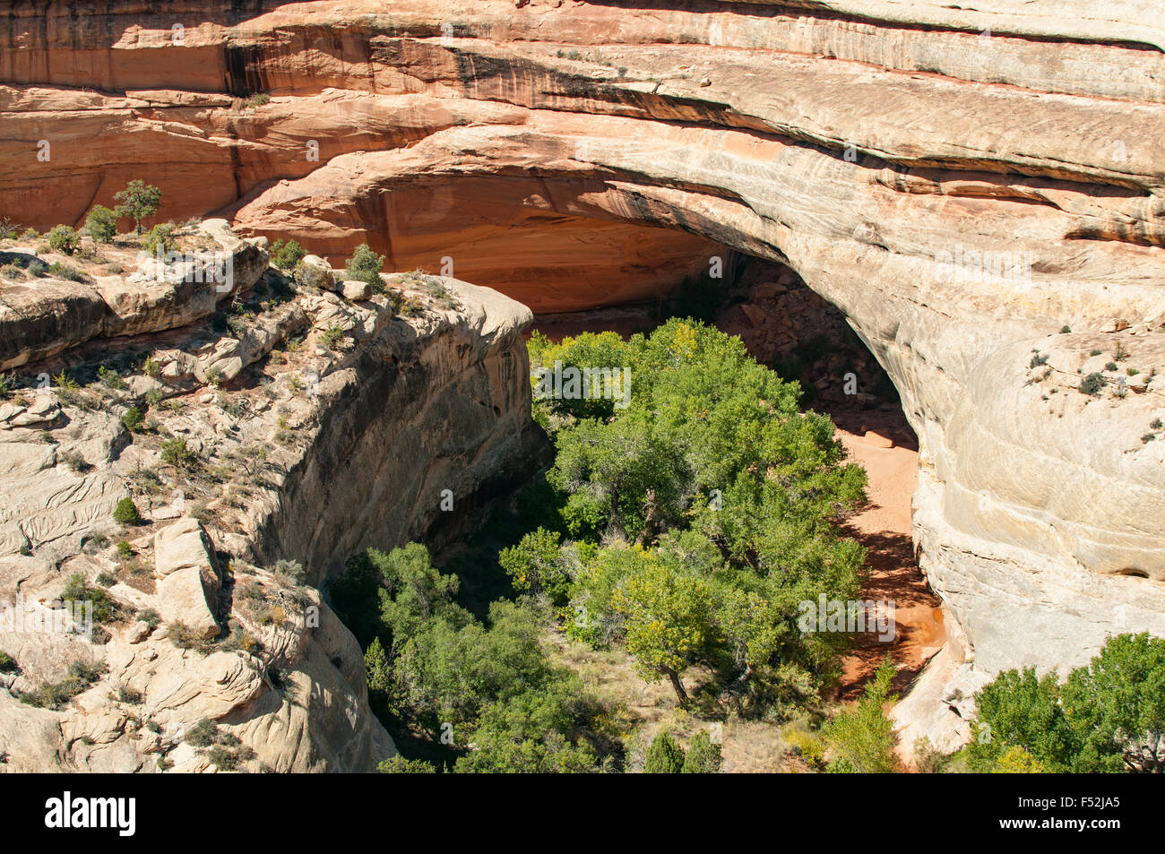 Kachina Brücke, Natural Bridges National Monument, Utah, USA Stockfoto