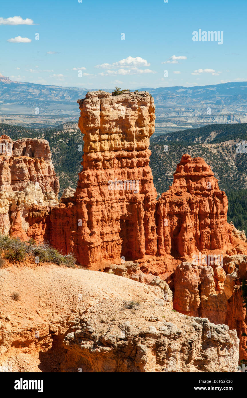 Hoodoos im Agua Canyon, Bryce Canyon, Utah, USA Stockfoto