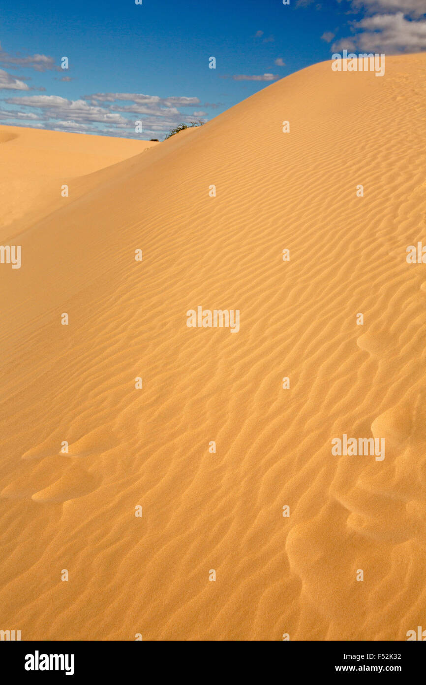 Hohen roten Sanddünen, mit künstlerischen Mustern erstellt durch Wind, aufsteigen zu blauen Himmel im Mungo National Park outback NSW Australia Stockfoto