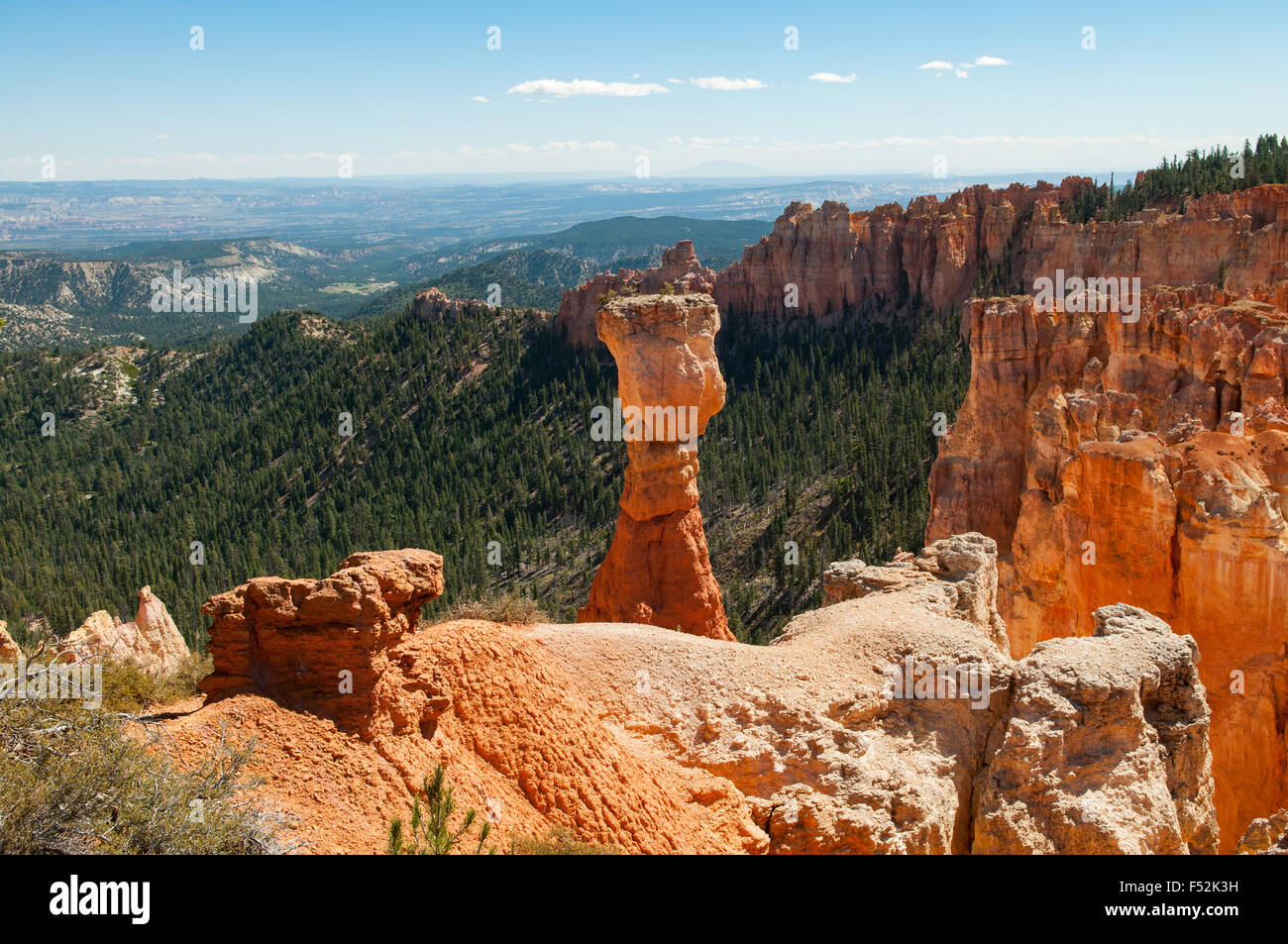 Hoodoo am Agua Canyon, Bryce Canyon, Utah, USA Stockfoto