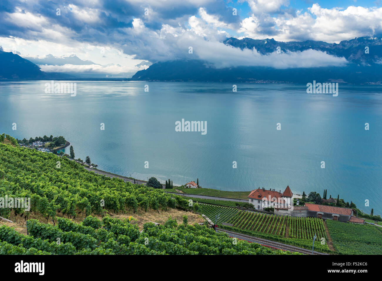 Blick über die Weinberge im Lavaux, einem UNESCO-Weltkulturerbe. Genfer See, Schweiz. Stockfoto