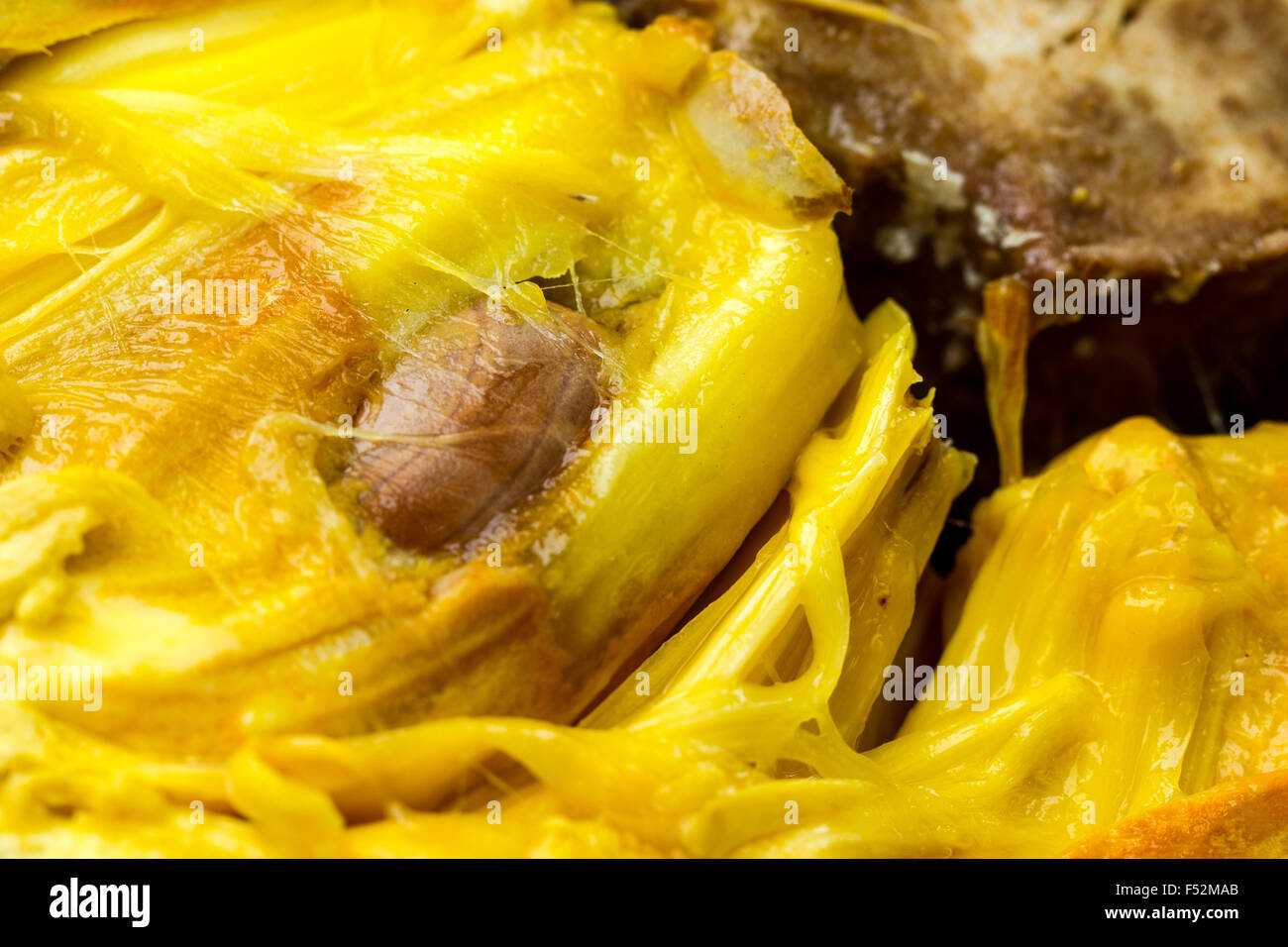 Nahaufnahme einer Brotfrucht Zellstoff Saatgut in der Mitte Stockfoto