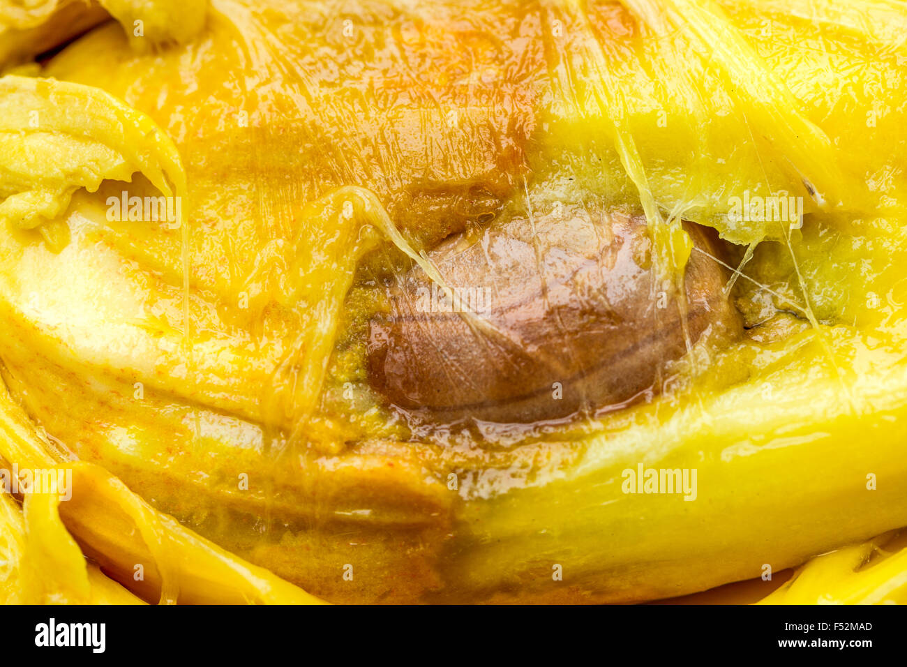 Nahaufnahme einer Brotfrucht Zellstoff Saatgut in der Mitte Stockfoto