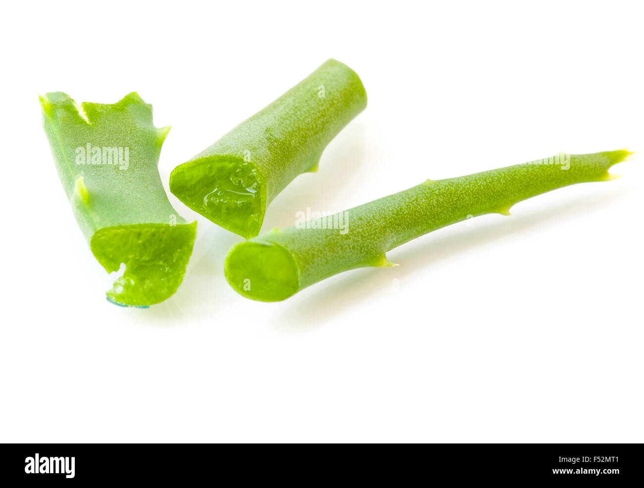 Aloe Vera kleine Stücke schließen sich in der Regel als Heilpflanze verwendet Stockfoto