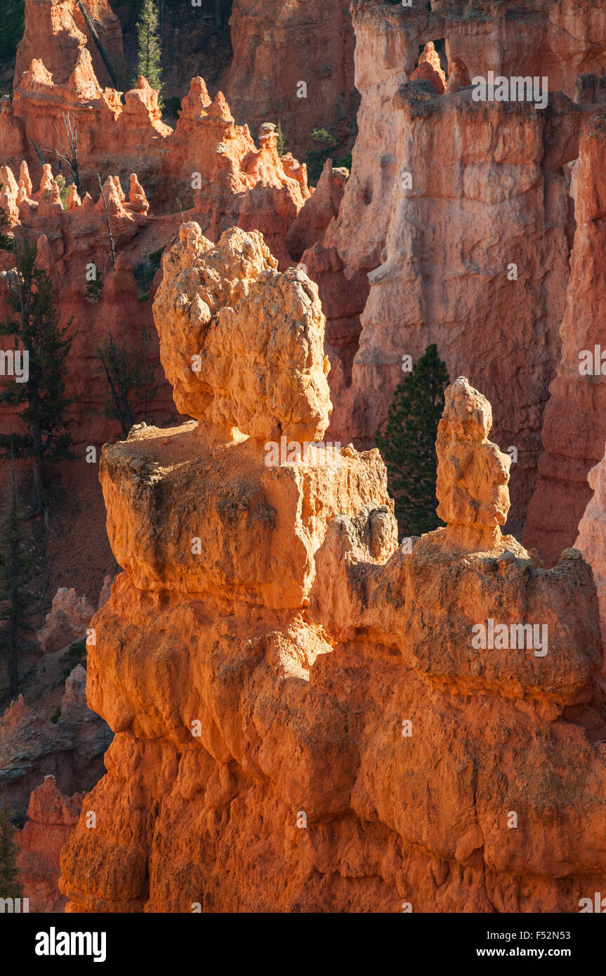 Hoodoos im Bryce Canyon, Utah, USA Stockfoto