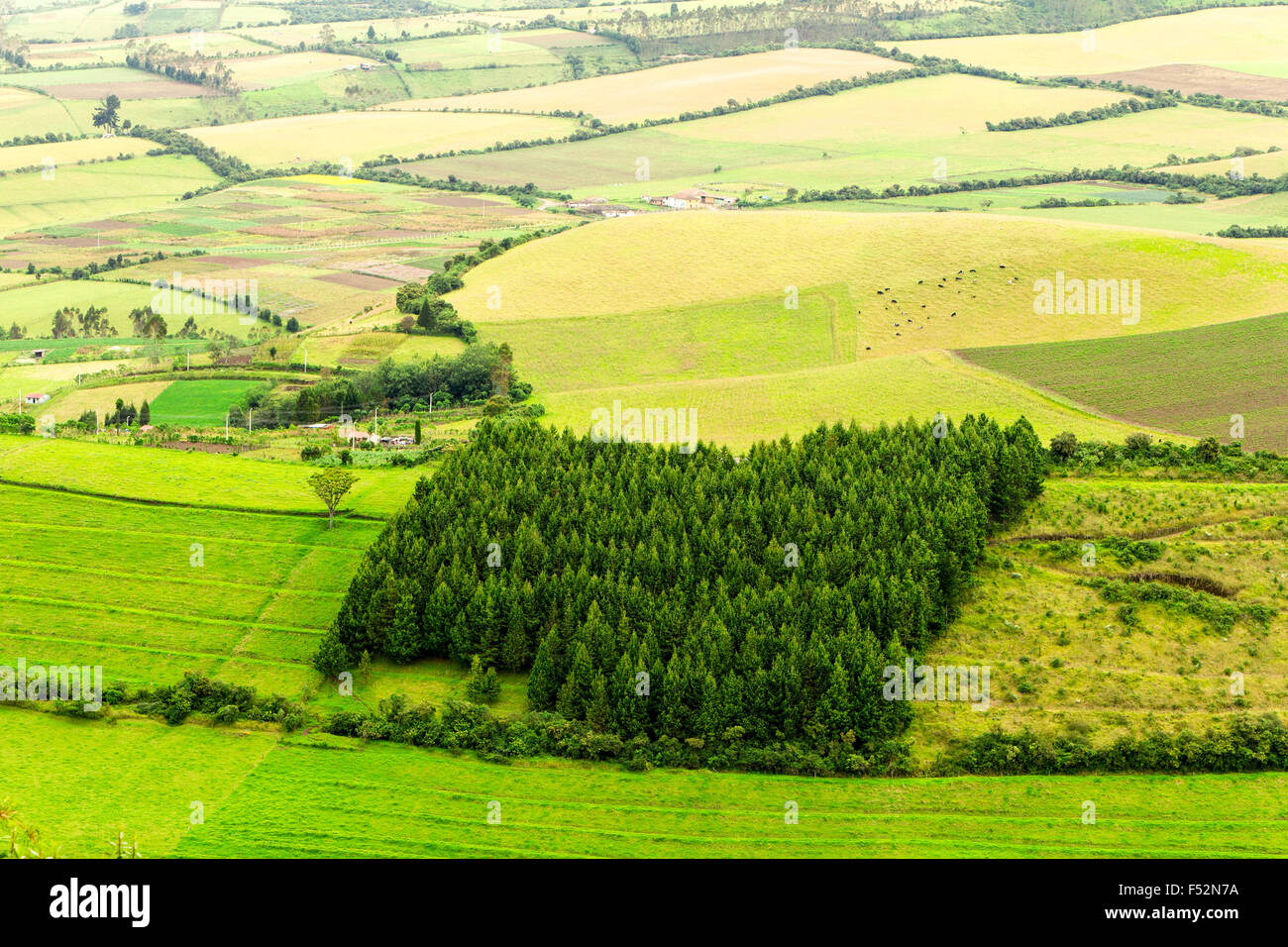 Höhe Landwirtschaft in den Anden Stockfoto