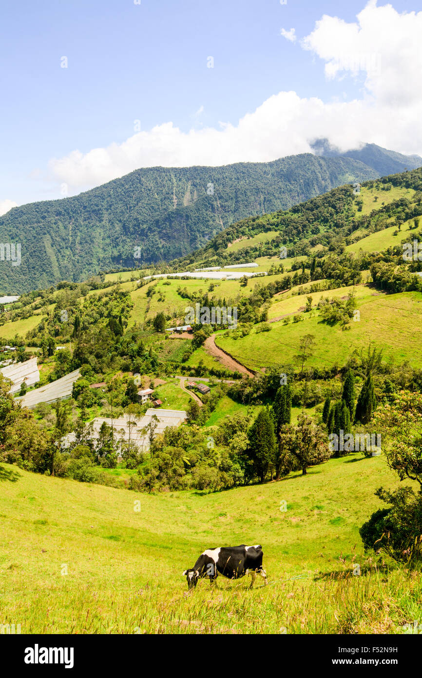 Die Landwirtschaft in den ecuadorianischen Anden In einem klaren Tag Stockfoto