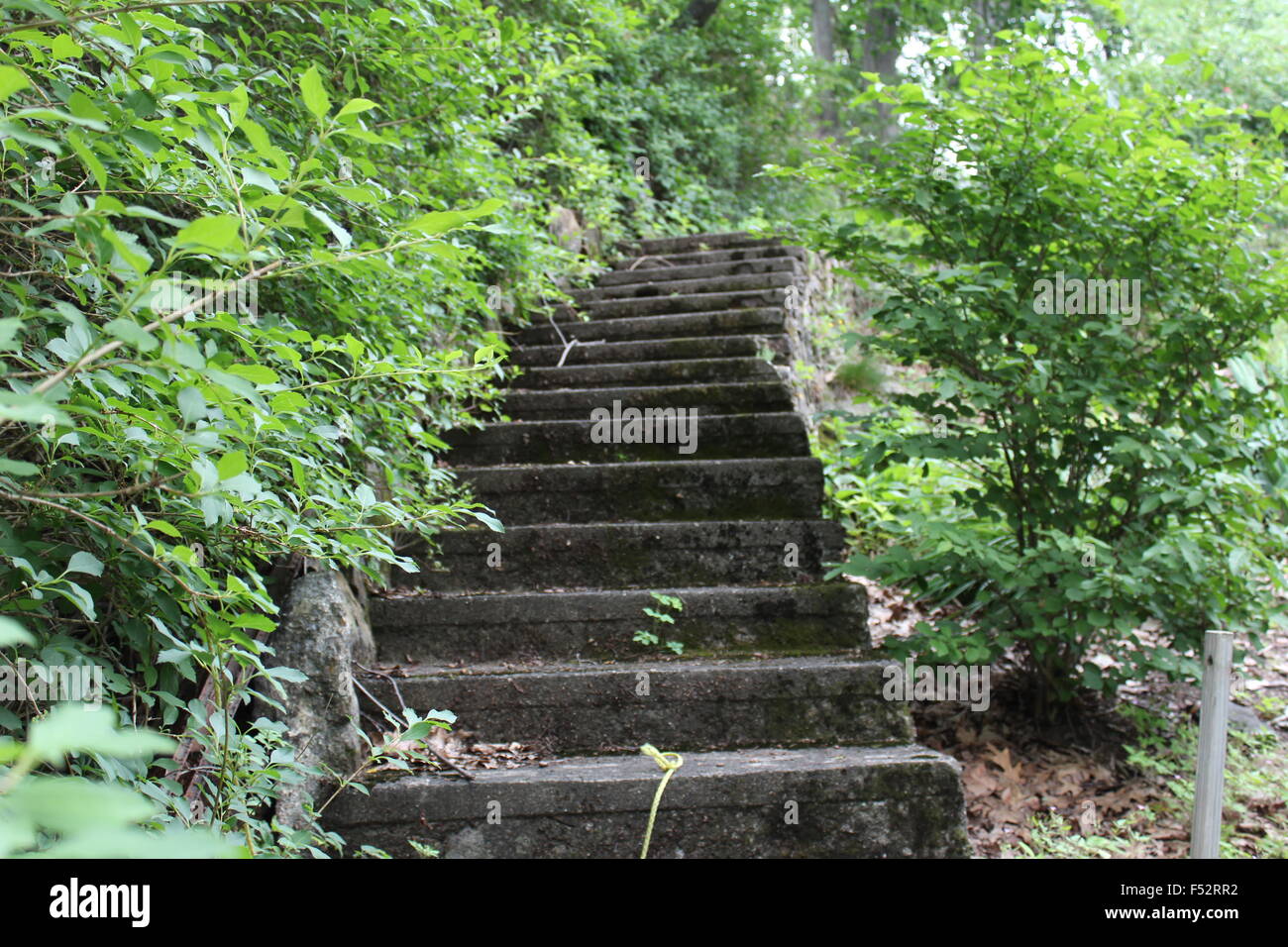 Schöne New York Landschaft und Natur Stockfoto