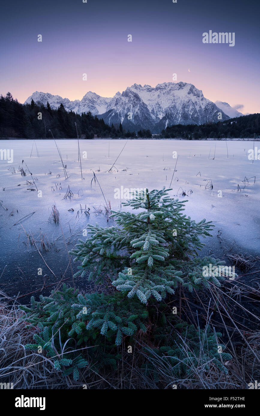 Berge, Alpen, Karwendels, See, gefroren, Ufer, Tanne, weiß Frost, Kälte, Mond, Himmel, Stockfoto