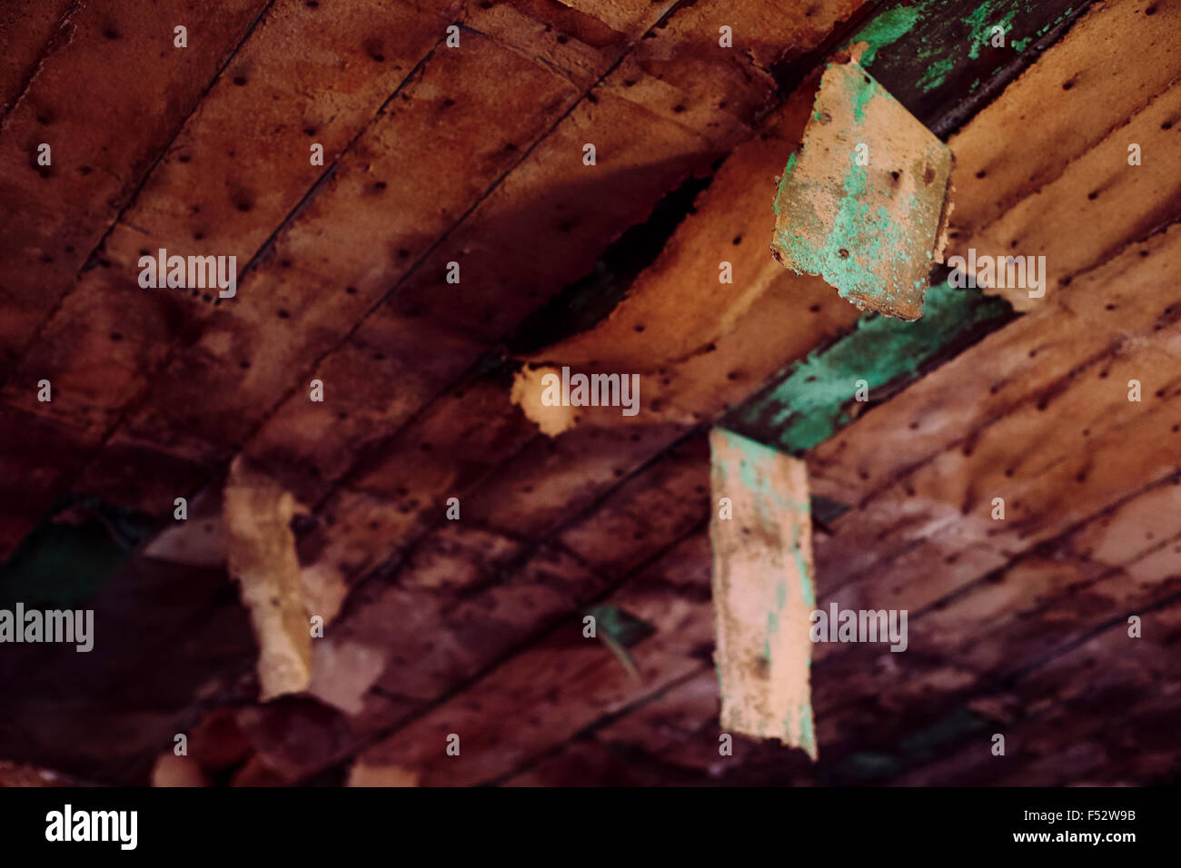 Asbest Isolierung von der Decke auf einem leeren Bauernhaus peeling Stockfoto