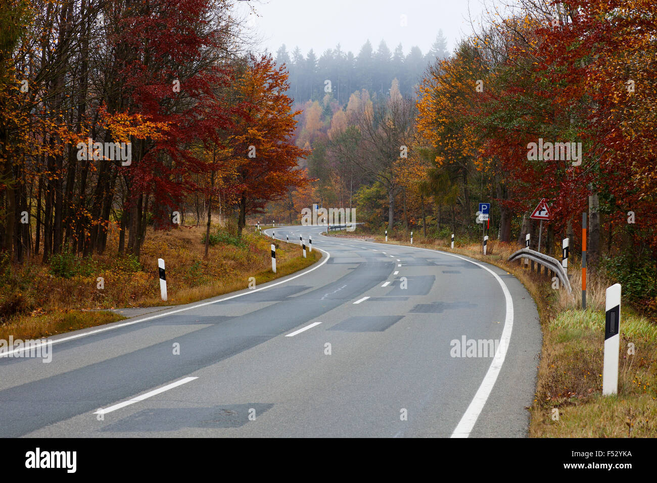 S-Bend, Straße, Herbst, Harz, Bäume, Farbe der Blätter Stockfoto