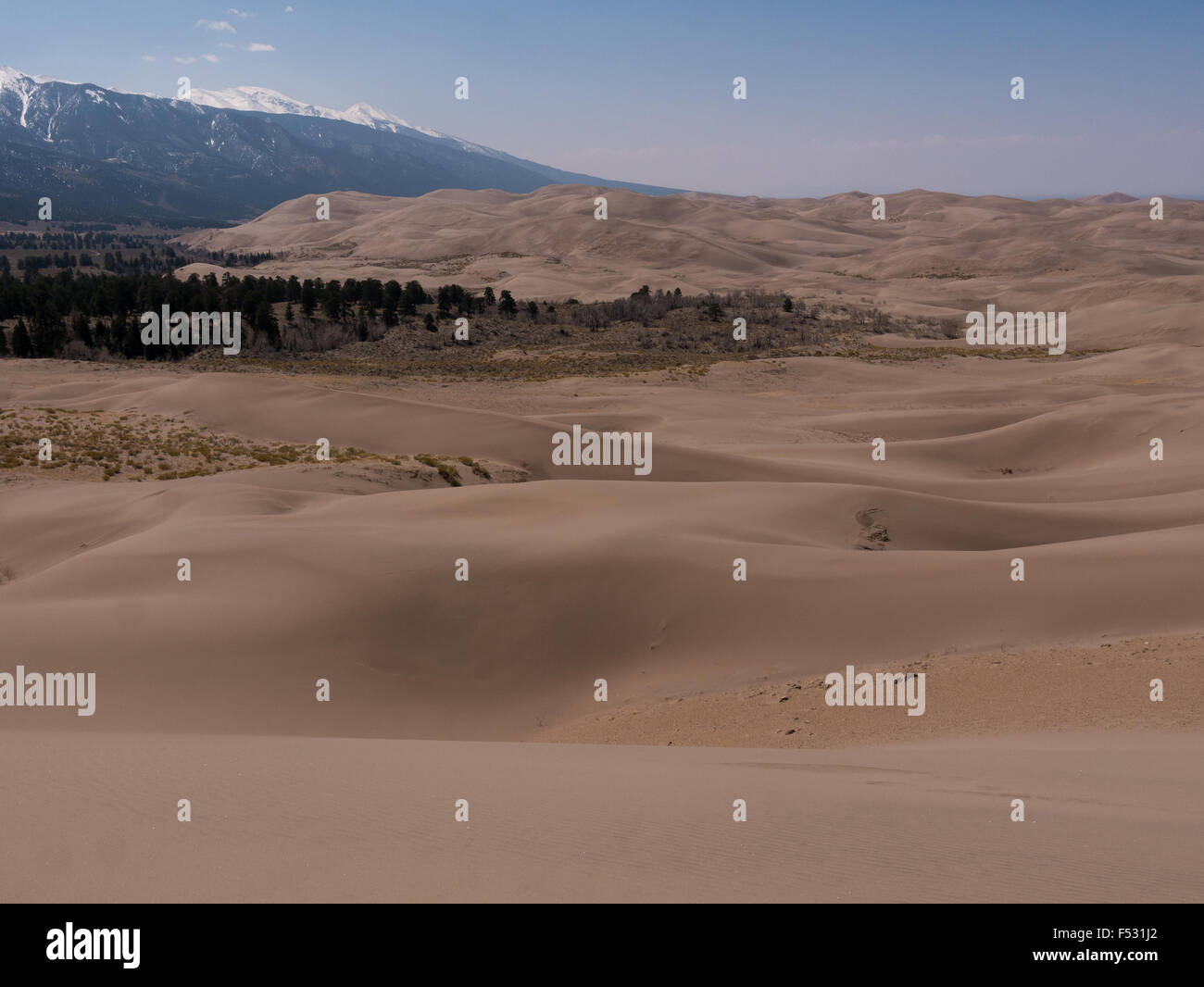 Landschaftsfoto der Great Sand Dunes National Park zeigt große Dünen mit Rocky Mountains im Hintergrund Stockfoto