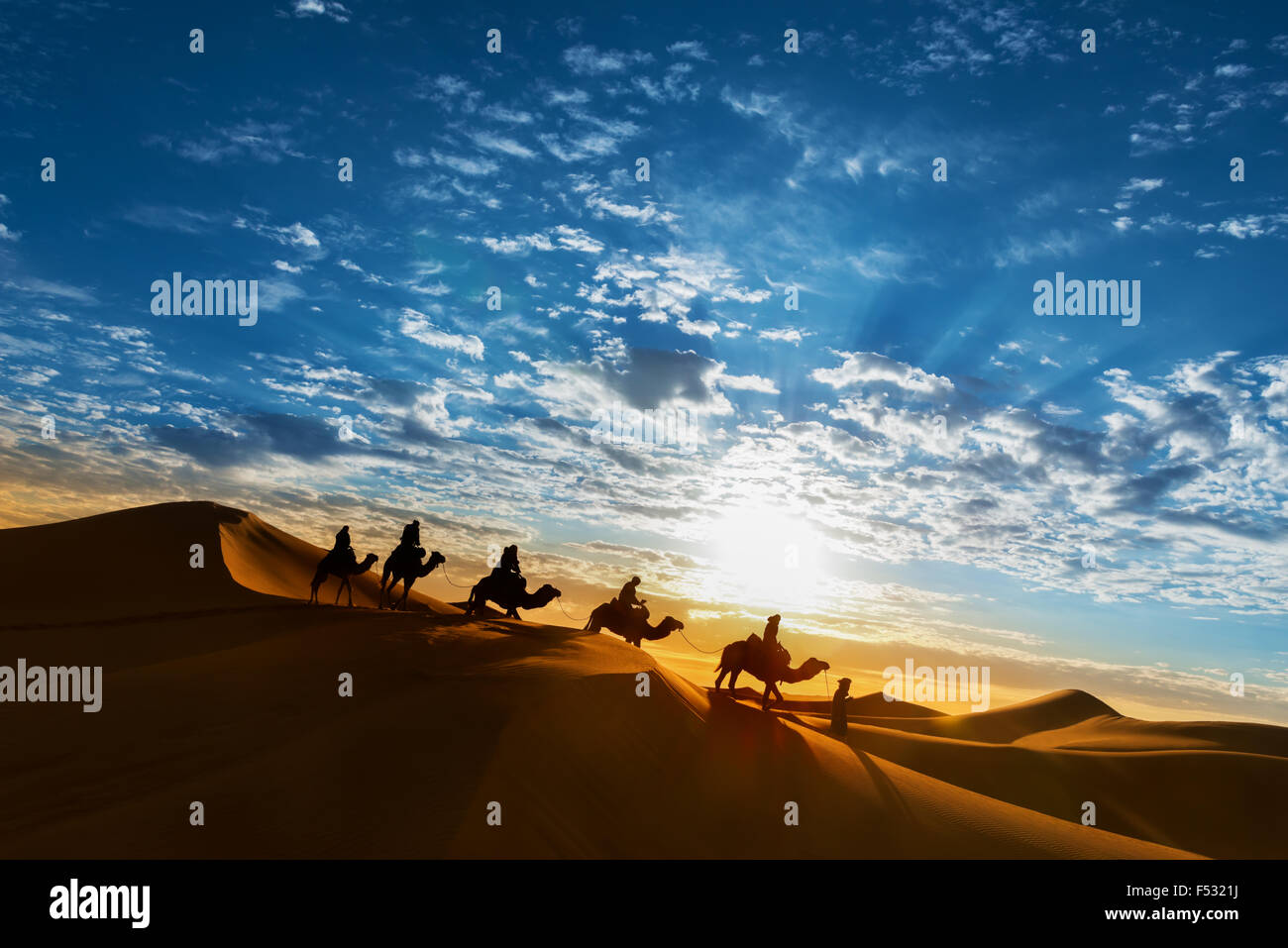Karawane in der Wüste bei Sonnenaufgang gegen einen schönen bewölkten Himmel, Erg Chebbi, Merzouga, Marokko. Stockfoto
