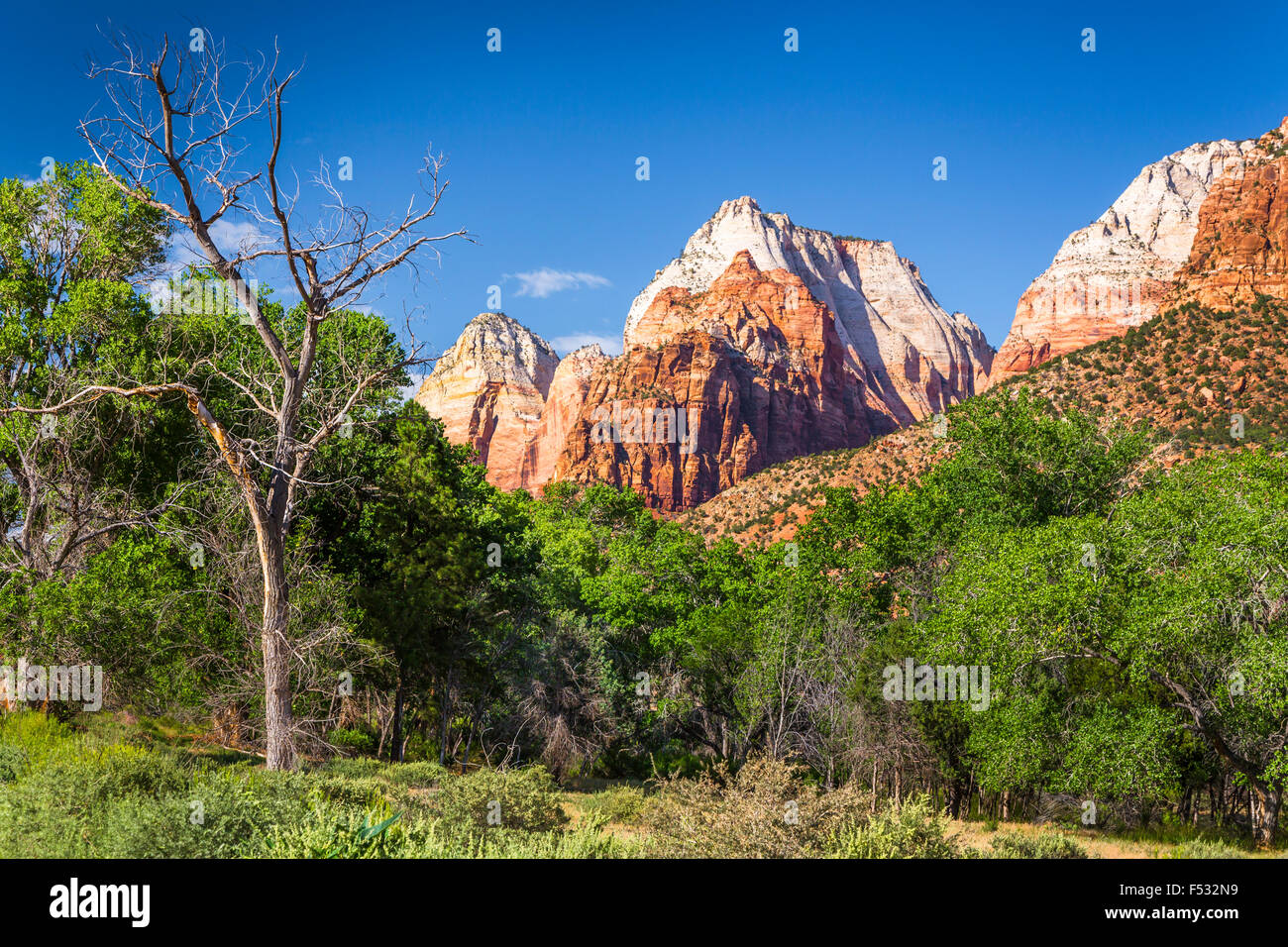 Berge, Kuppen und Täler im Zion Nationalpark, Utah, USA. Stockfoto