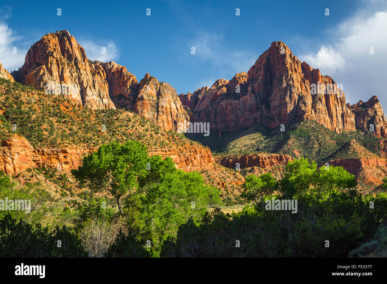 Berge, Kuppen und Täler im Zion Nationalpark, Utah, USA. Stockfoto