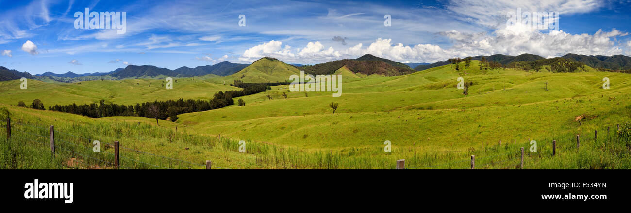 breites Panorama der grünen kultivierten Tal in abgelegenen landwirtschaftlichen Hügel-Land von New South Wales, Australien Stockfoto